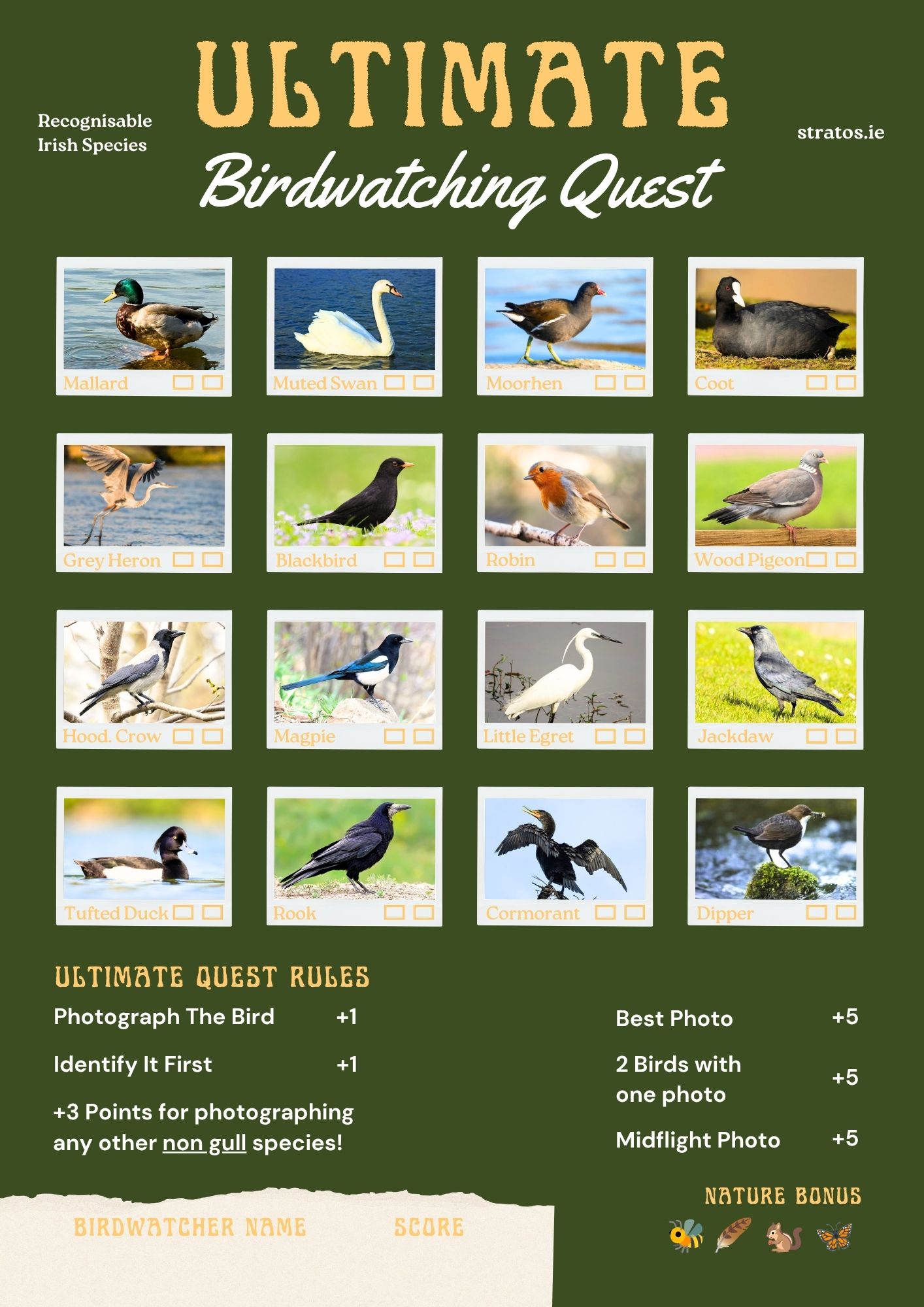 Preview of the Irish Bird Spotting Challenge
